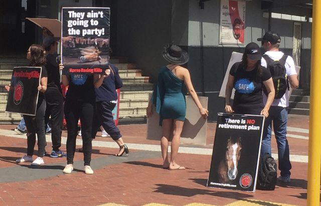 Auckland protest against the Melbourne Cup