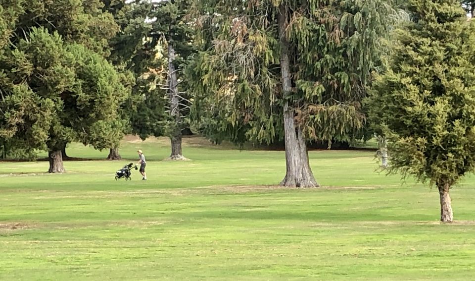 Keen golfers flock to reopened Bay of Plenty golf clubs