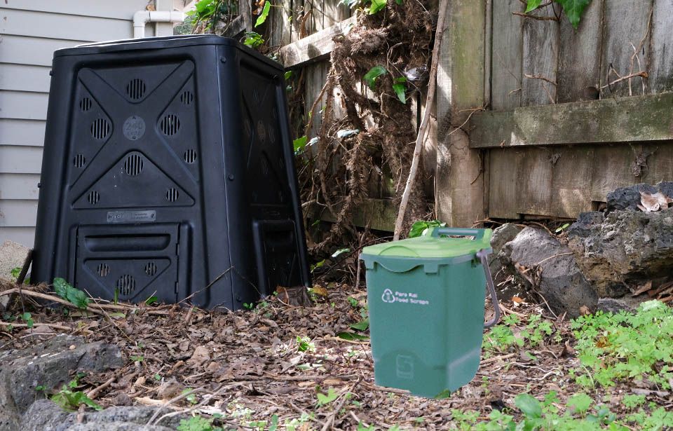 Kerbside food scrap collection to start in Auckland next year