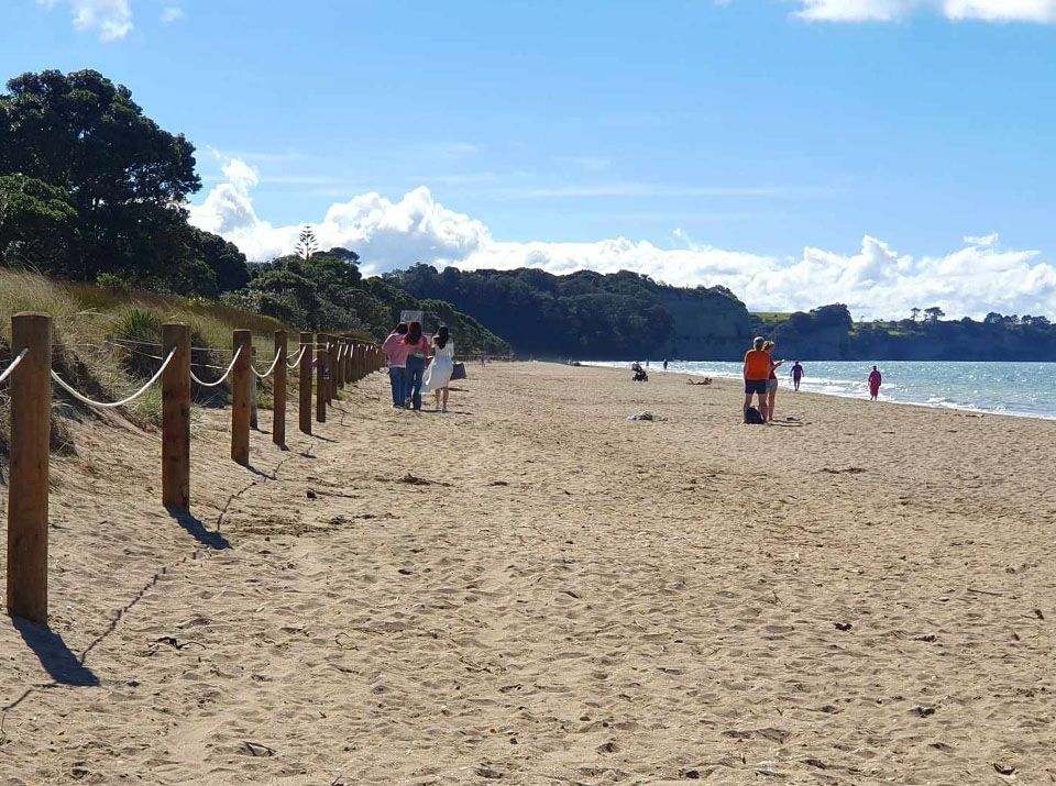 Storm-battered Auckland beach fence potential 'disaster'
