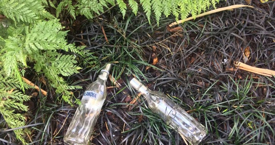 New alcohol restrictions approved for Auckland reserve