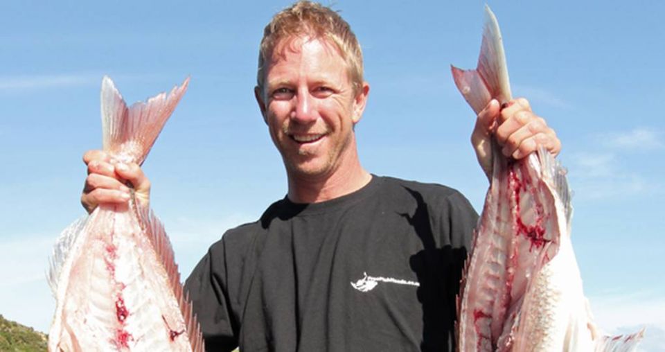 Fish heads making a splash