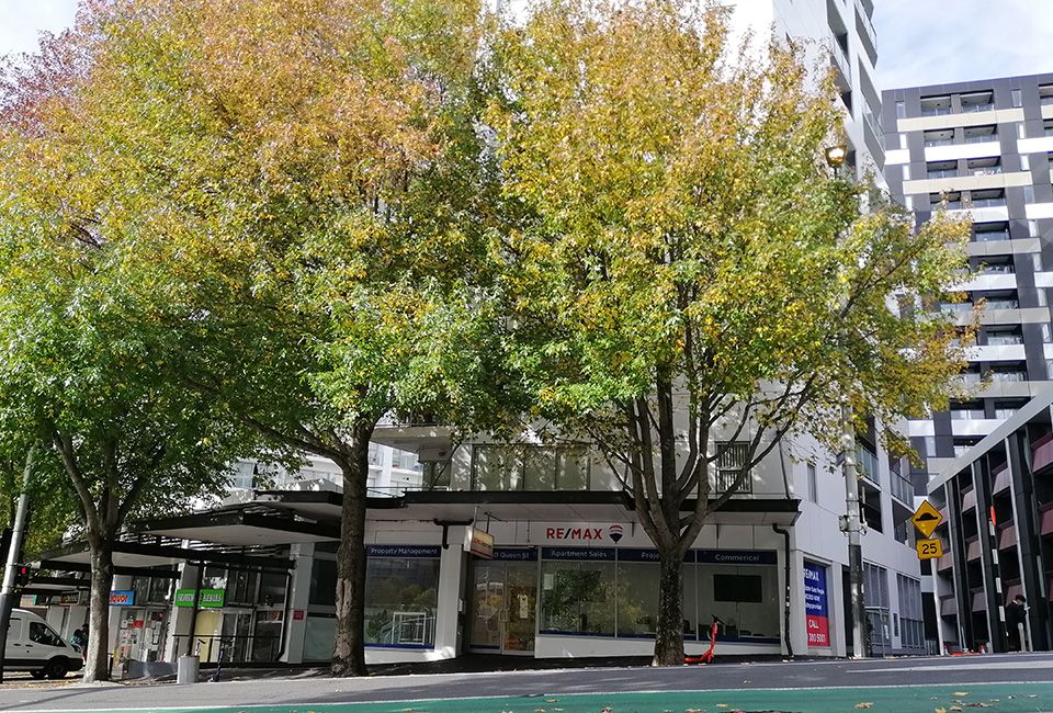 Bond returns a struggle for Auckland renters