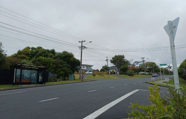 'We need a change.' Residents call for pedestrian crossing in Waiake Torbay
