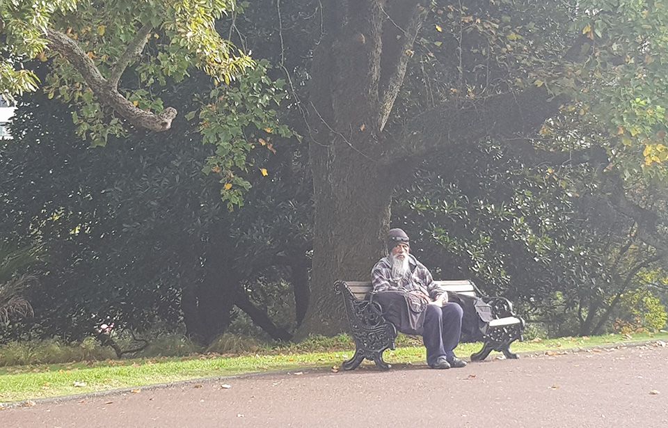 Simon Bridges - 'Ooh that's amazing, look there's a rabbit' 