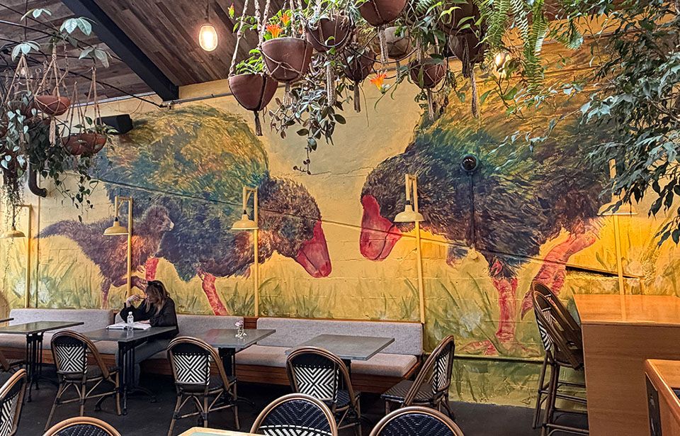 Painting the town: Auckland CBD brought to life by young artists