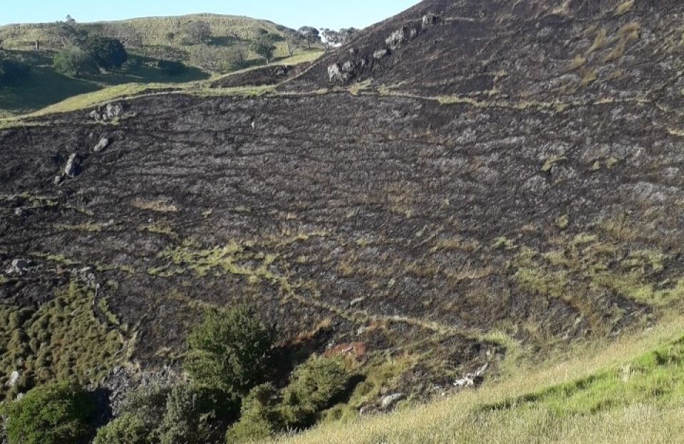 Fireworks discovery sparks renewed fears for Auckland’s iconic maunga