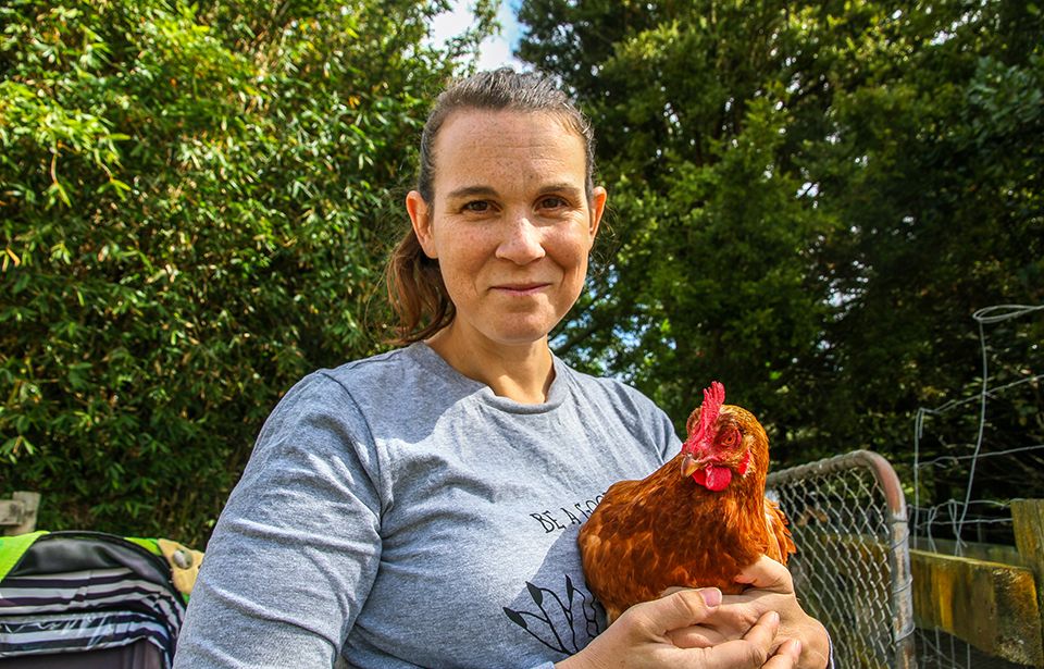 Chicken rescuers: Stop buying eggs
